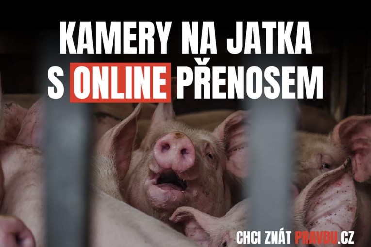 Předání petice za kamerový systém na jatkách ministru zemědělství (Praha)