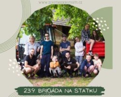 Dobrovolnická brigáda (Třebihošt)