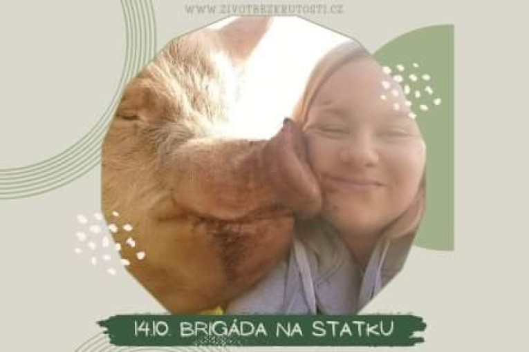 Brigáda na Statku bez krutosti (Třebihošt)