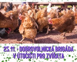 Dobrovolnická brigáda (Třebihošt)