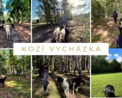Kozí vycházka (Hradec Králové)