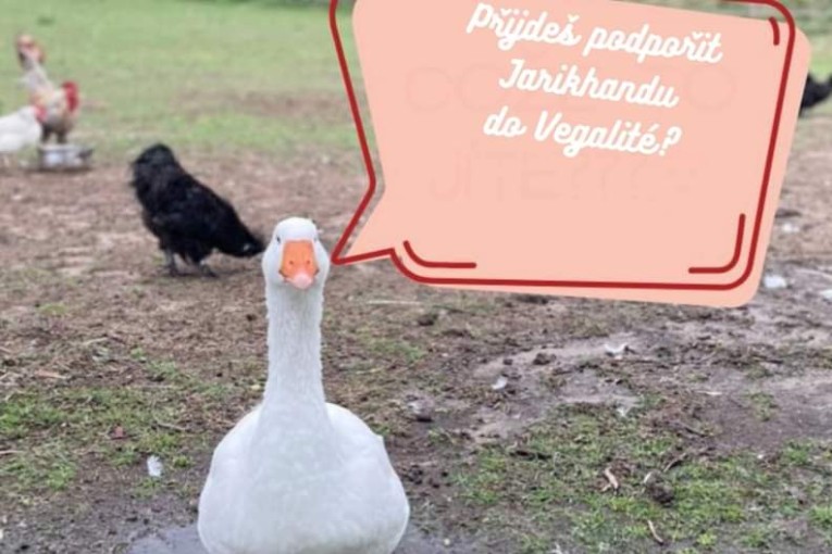 Vánoční bazárek pro Jarikhandu (Brno)