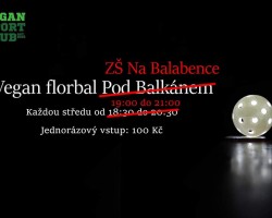 Vegan florbal (Praha)