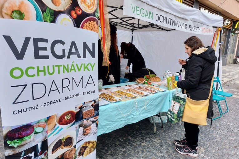 Činnost spolku Očima zvířat v roce 2023