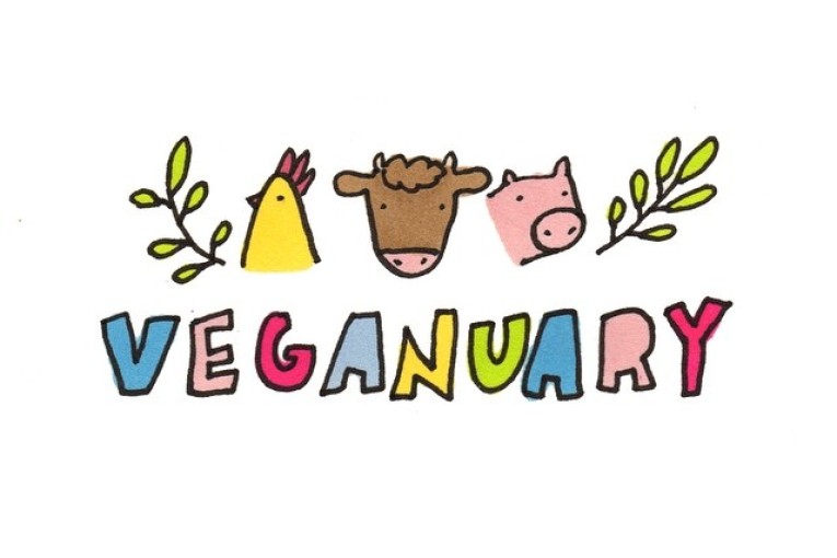 Veganuary aneb proč to vyzkoušet rostlinně
