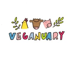 Veganuary aneb proč to vyzkoušet rostlinně