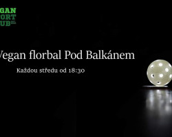 Vegan florbal (Praha)