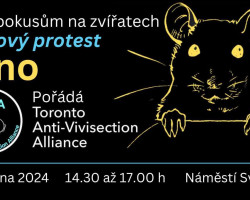 Světový protest proti pokusům na zvířatech (Brno)