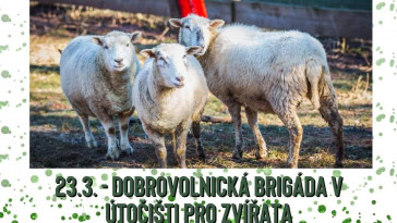 Dobrovolnická brigáda na Statku bez krutosti (Třebihošt)