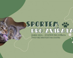 Sportem pro zvířata - virtuální sport, který zachraňuje zvířecí životy (Online)