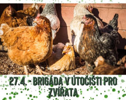 Dobrovolnická brigáda na Statku bez krutosti (Třebihošt)