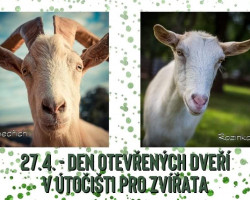 Den otevřených dveří na Statku bez krutosti (Třebihošt)