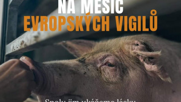 Vigil (pietní akt) Bučovice 