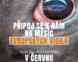 Vigil (pietní akt) Kostelec u Jihlavy 