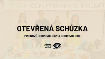 Schůzka pro zájemce o aktivismus za práva zvířat v Očima zvířat (Praha)