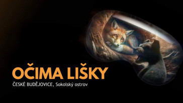 Virtuální realita očima lišky (České Budějovice)