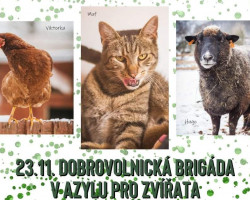 Brigáda na Statku bez krutosti (Třebihošť)