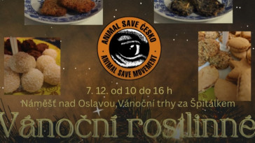 Vánoční ochutnávky (Náměšť nad Oslavou)