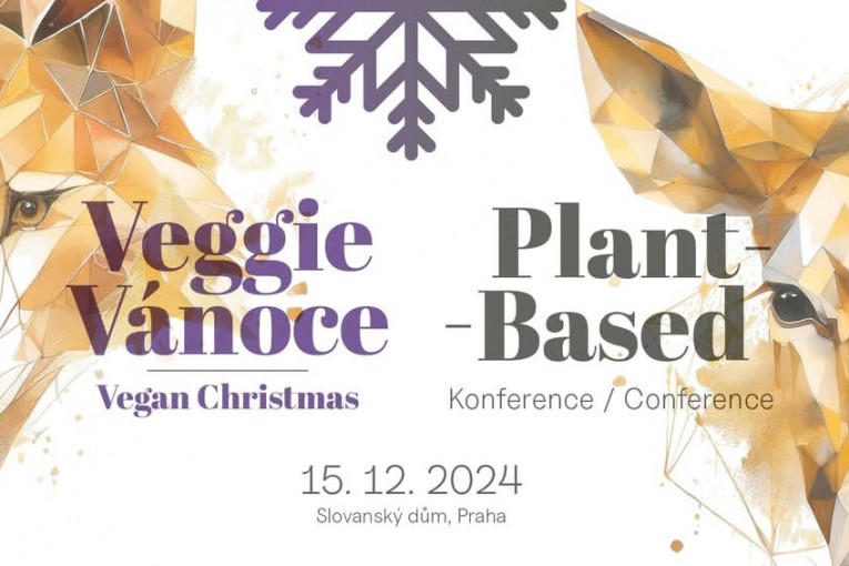 Veggie Vánoce (Praha)