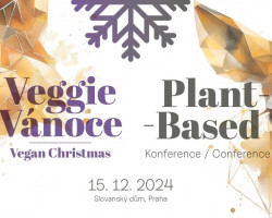 Veggie Vánoce (Praha)