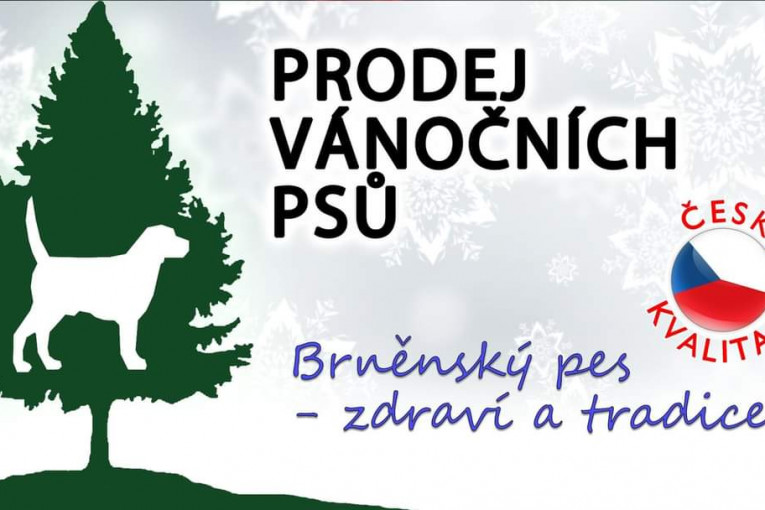 Prodej Vánočních psů (Brno)