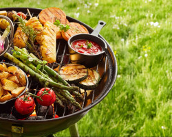 Grilování a piknik s Vegan Sport Clubem (Brno)