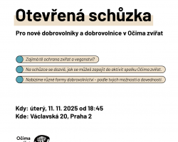 Schůzka pro zájemce o aktivismus za práva zvířat v Očima zvířat (Praha)