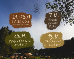 Procházka se zvířaty v azylu Nech mě růst (Nová Ves u Leštiny)