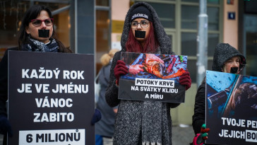 Tichá ulička za kapry (Praha)