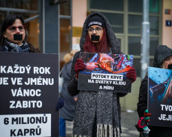 Tichá ulička za kapry (Praha)