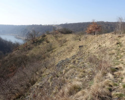 Bohnice křížem krážem (Praha)