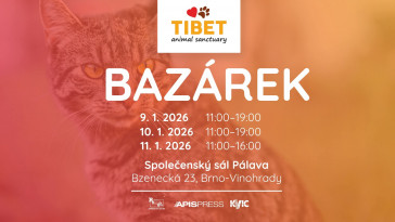 Charitativní bazárek pro Útulek Tibet (Brno)