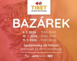 Charitativní bazárek pro Útulek Tibet (Brno)