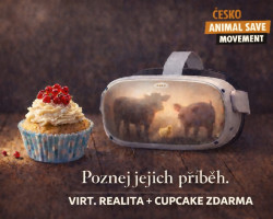 Virtuální realita Animal Save Česko (Brno)