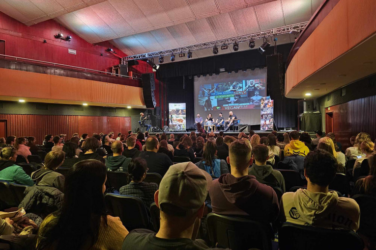 5 tipů, co nepromeškat na VeganFestu 2026 