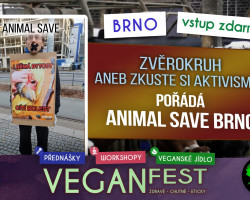 Zvěrokruh aneb zkuste si aktivismus (Brno)