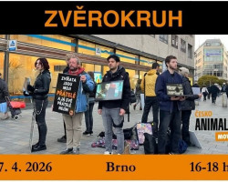 ZVĚROKRUH Animal Save Česko (Brno)