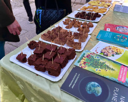 Rostlinné ochutnávky Animal Save Česko (Ostrava)