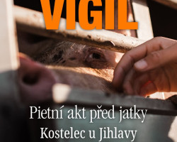 Vigil - pietní akt Animal Save Česko (Kostelec u Jihlavy)