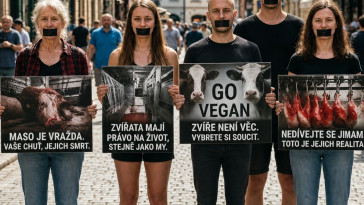Tichá ulička za oběti živočišného průmyslu (Praha)