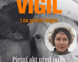 Vigil - pietní akt AnimalSaveČesko(Polička) 