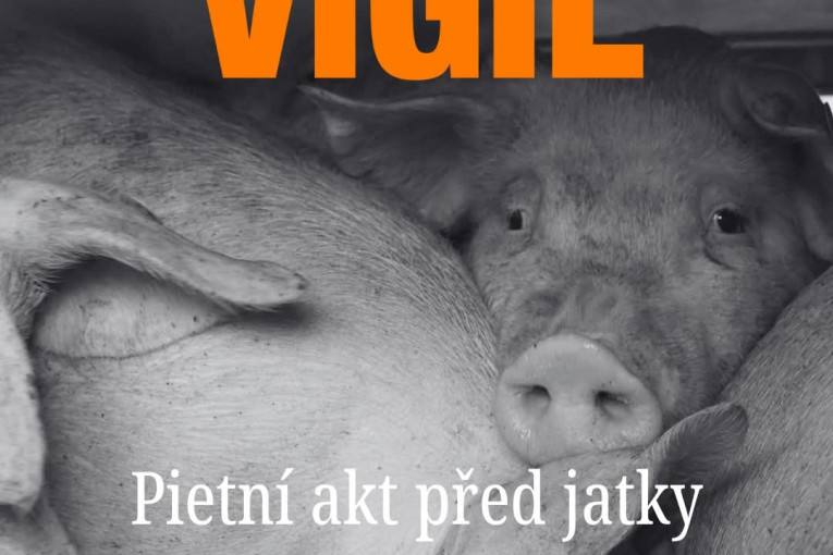 Vigil "pietní akt" Animal SaveČesko (Kostelec u Jihlavy)