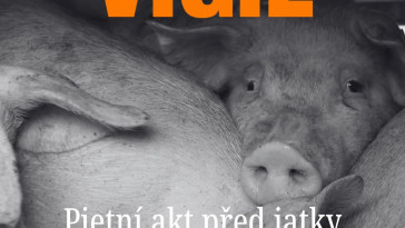 Vigil "pietní akt" Animal SaveČesko (Kostelec u Jihlavy)
