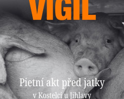 Vigil 