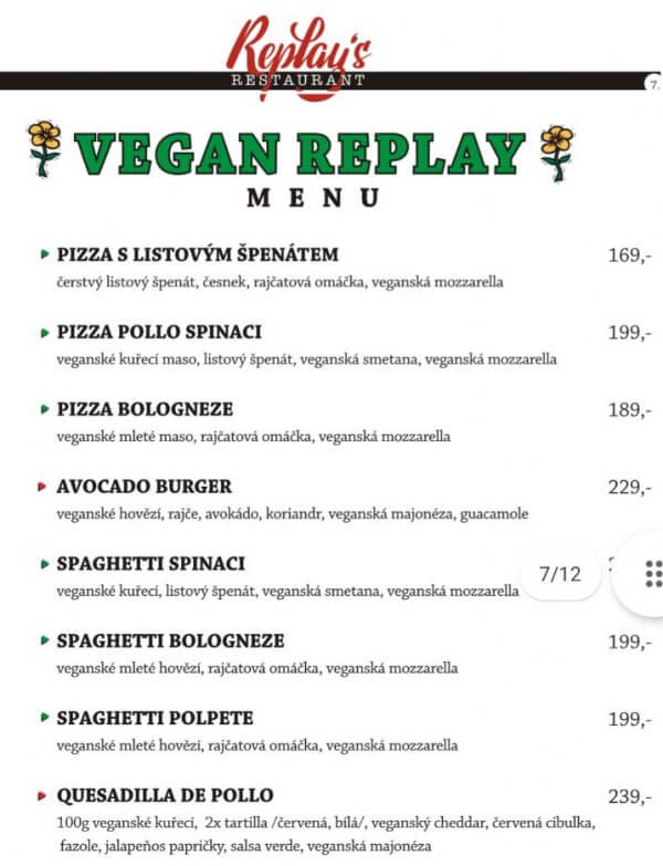 vegan replays usti