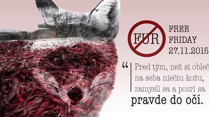 Exkluzívna módna prehliadka (Bratislava)