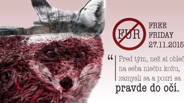 Exkluzívna módna prehliadka (Bratislava)
