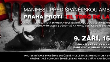 Manifest před španělskou ambasádou (Praha)