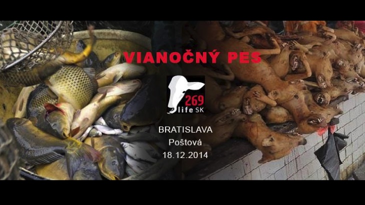 Vianočný Pes (Bratislava)