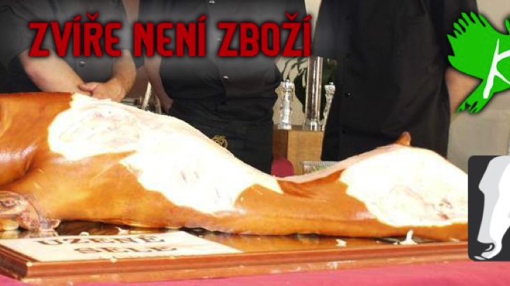 Zvíře není zboží - dost bylo mlčení (Brno)